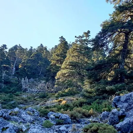 Szálloda Sierra Hidalga 3*