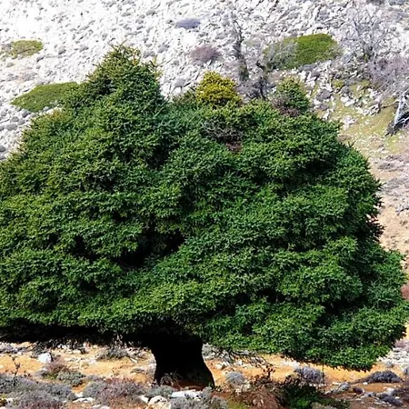 Szálloda Sierra Hidalga 3*