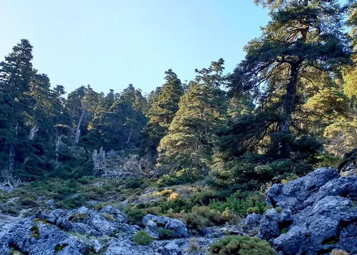 Hotel Sierra Hidalga 3*