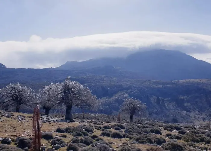 Sierra Hidalga Hotel