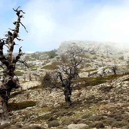 Sierra Hidalga فندق 3*