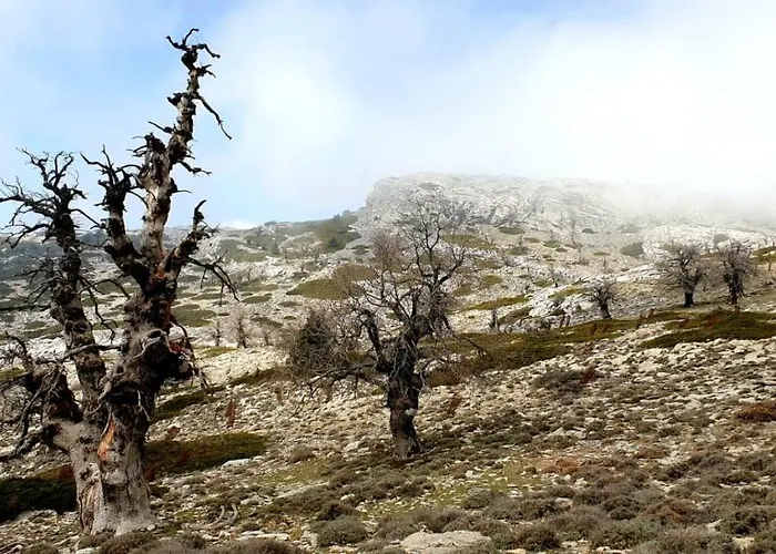 Sierra Hidalga Hotel 3*