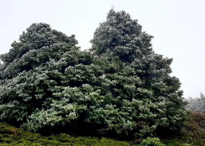 Sierra Hidalga 3* Ronda