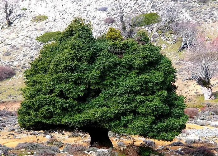 Hotel Sierra Hidalga 3*