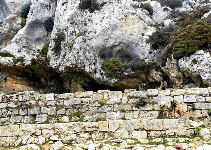 Sierra Hidalga Hotel