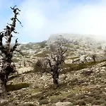 Sierra Hidalga Hotell 3*