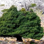 Hotell Sierra Hidalga 3*